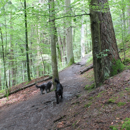 23 Urlaub 2014